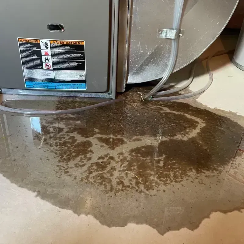 Appliance Leak Cleanup in Epworth, IA